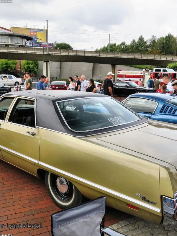 انرژی پاک برای گلخانه‌ها